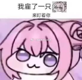 006Codoagy1i2jb4nlolej30bk0bcdgj.jpg