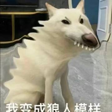 008bXkM8gy1hojcdwxyrcj30du0dudgc.jpg