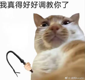 008cHI84gy1i2iapl9x1jj30wi0upte2.jpg