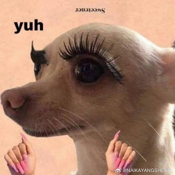 008jpVcQly1i2ijeufb65j30k00k0gng.jpg