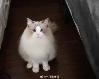 008r1aZCgy1hkxt831xcoj33342hcu0y.jpg